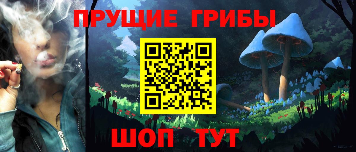 Галлюциногенные грибы Psilocybine cubensis Чернушка