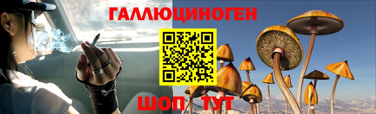 Чернушка  дарнет шоп  Вход с VPN  Галлюциногенные грибы мицелий 